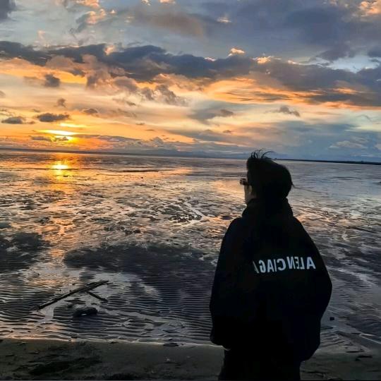 海棠蚀