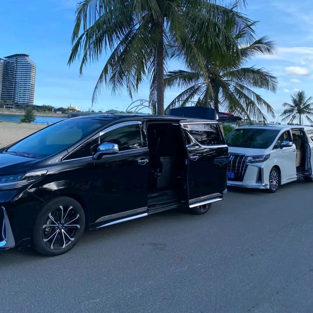 白鸽没故事
