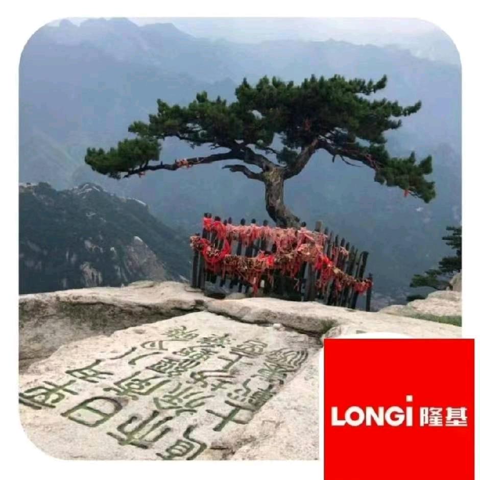 封狼居胥