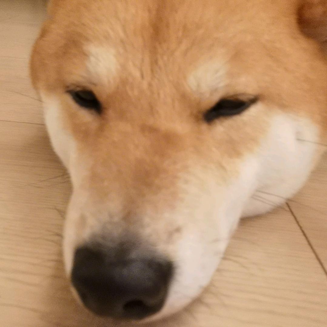 故事