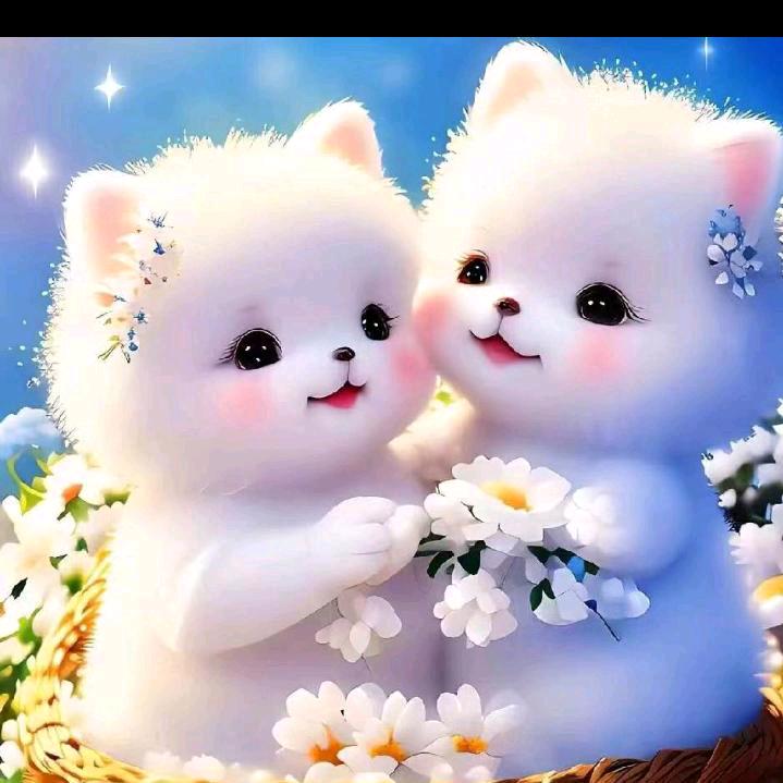 沉(ू˃̣̣̣̣̣̣︿˂̣̣̣̣̣默