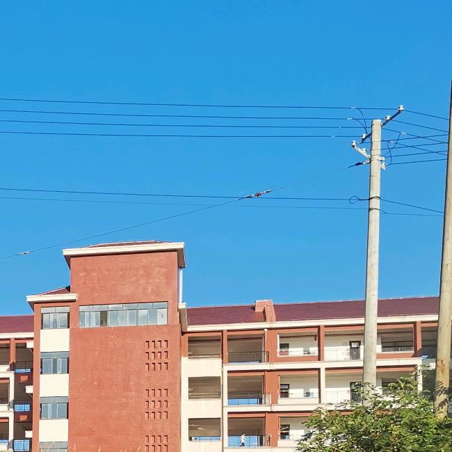 小白