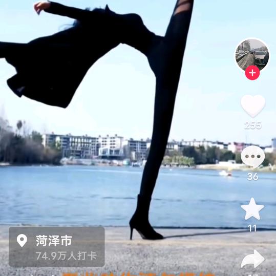 伤情得白斑黑虎