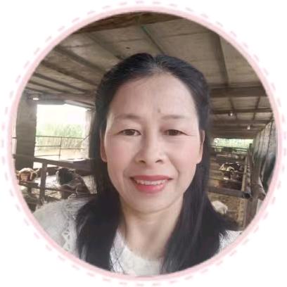 开心果