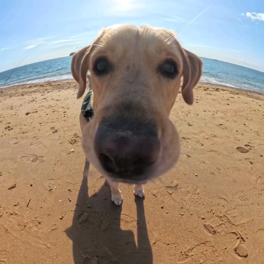 🍉🍈🍇🍎🍊🥭🍐🍑🍓🍒