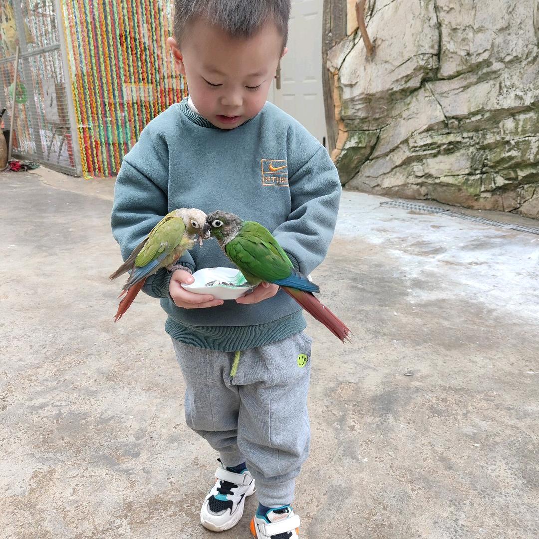 梦幻蓝天