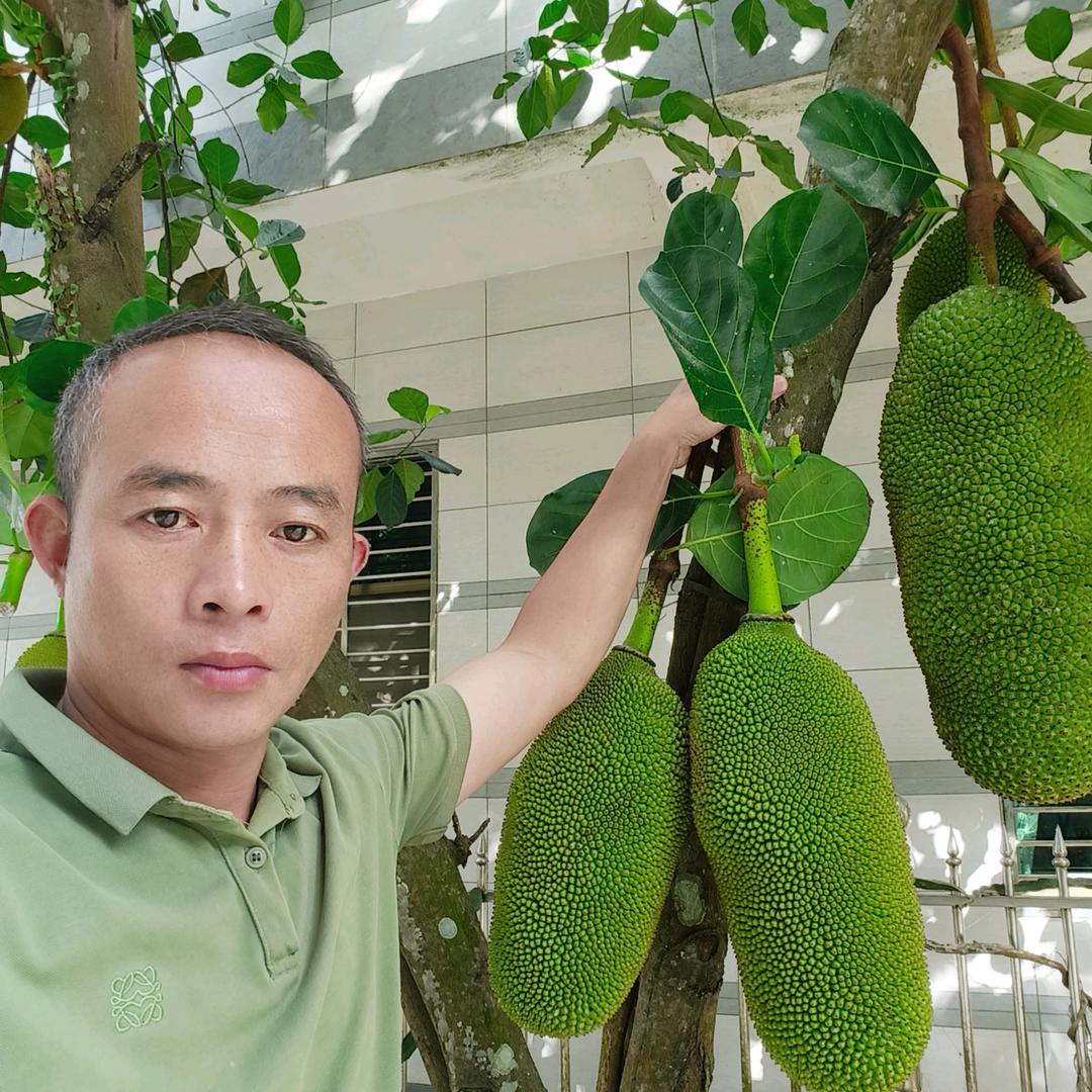 张二蛋