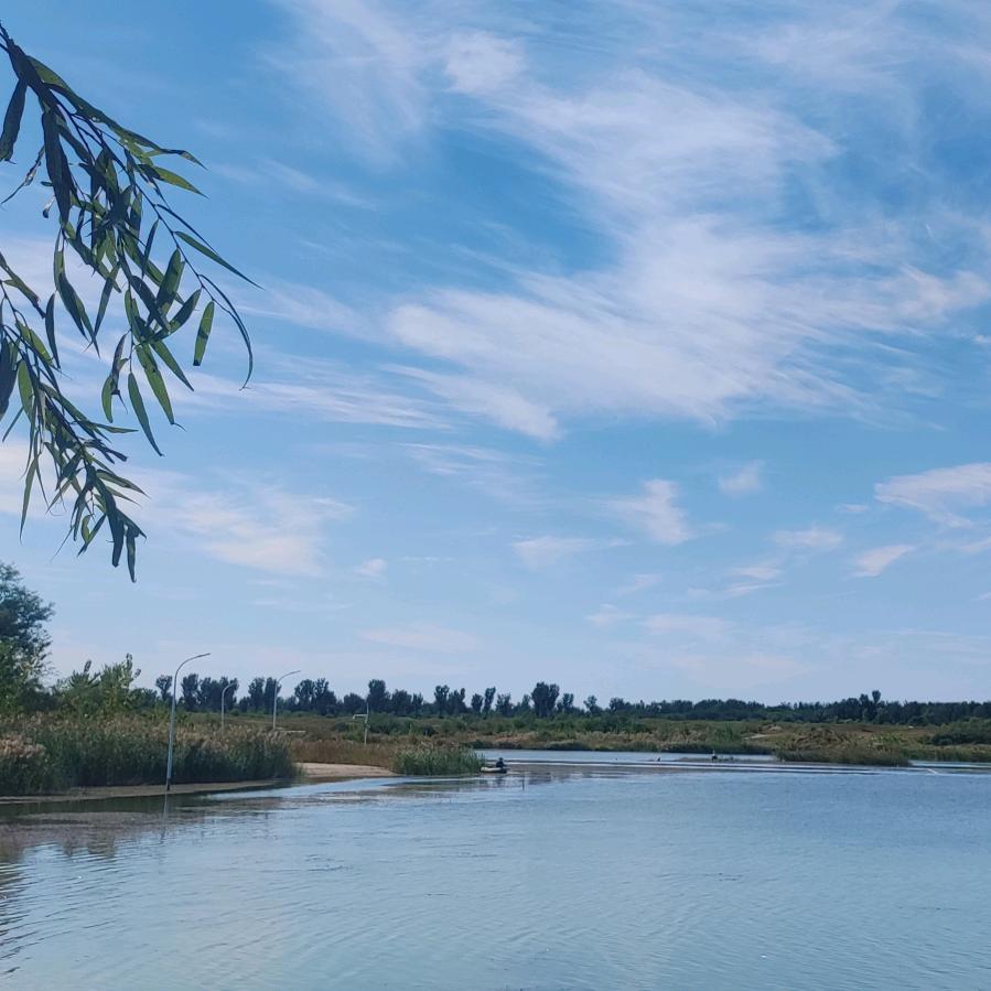 没有办法也是一种办法