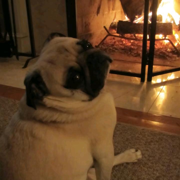 你的老江啊（摄影学习中）