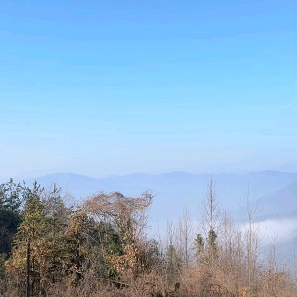 &悠悠&