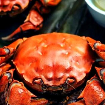 螃蟹🦀