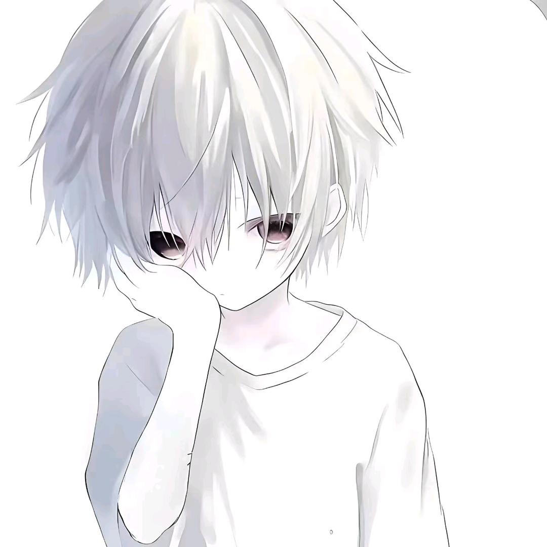 呆呆轩