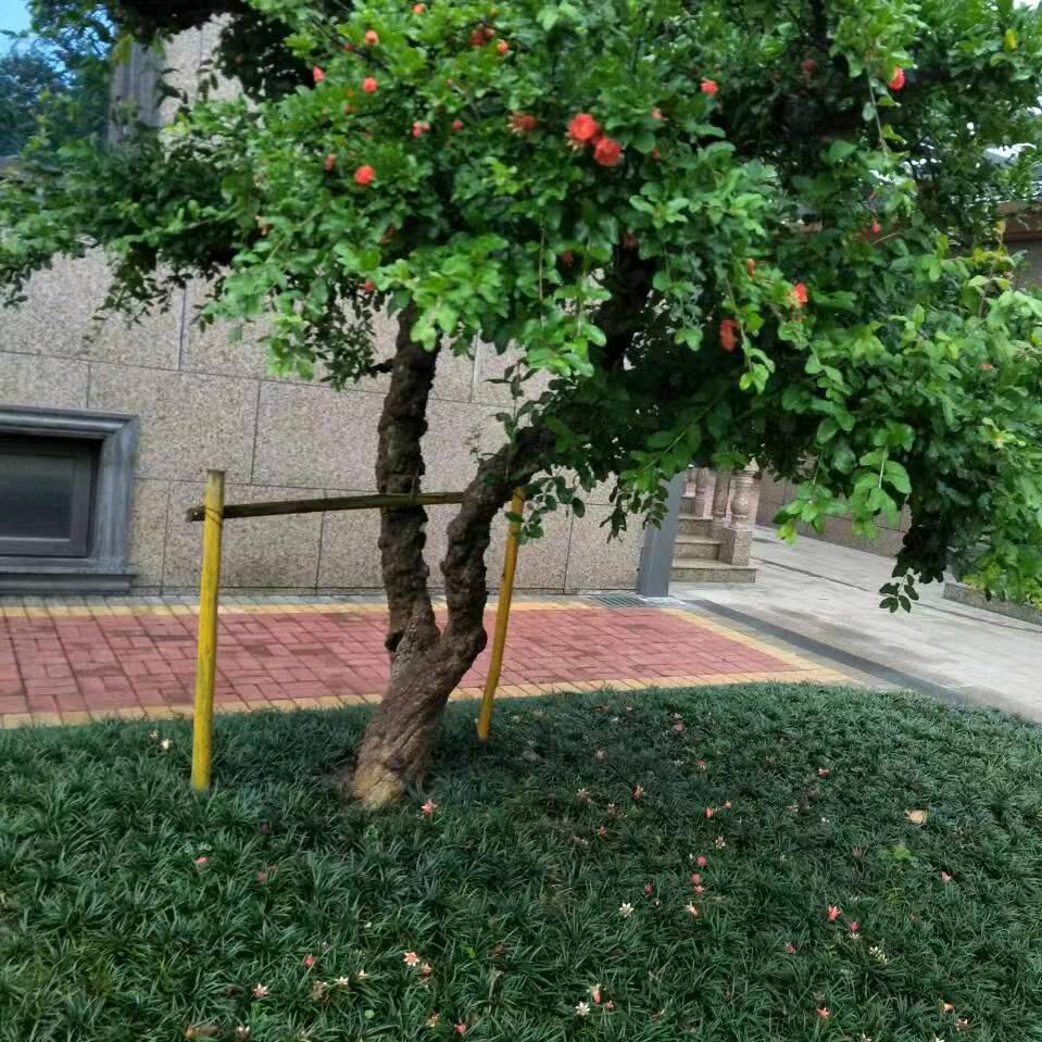 用户671053859