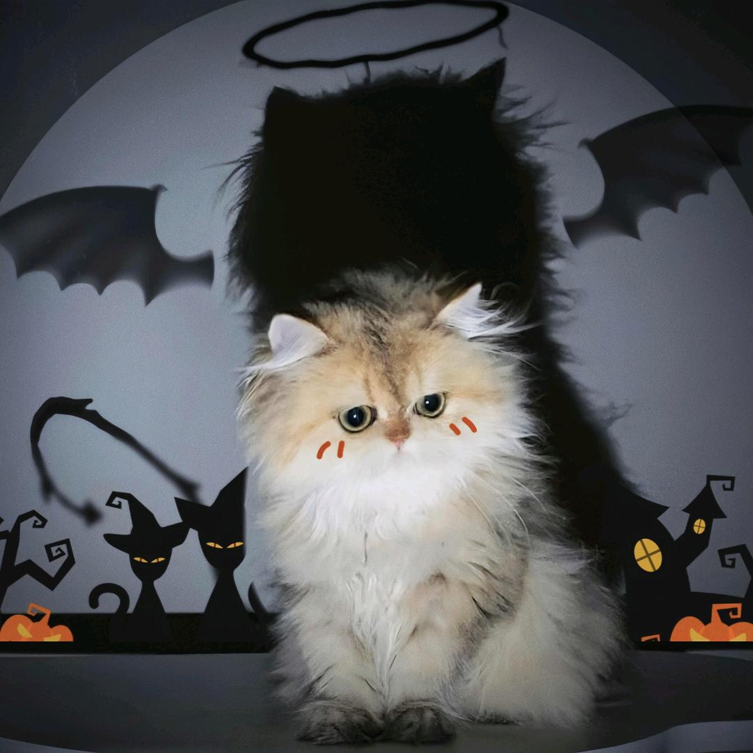 “এ᭄ꪑⅈડડ ꪩꪮ꫁ꪞོꦿ