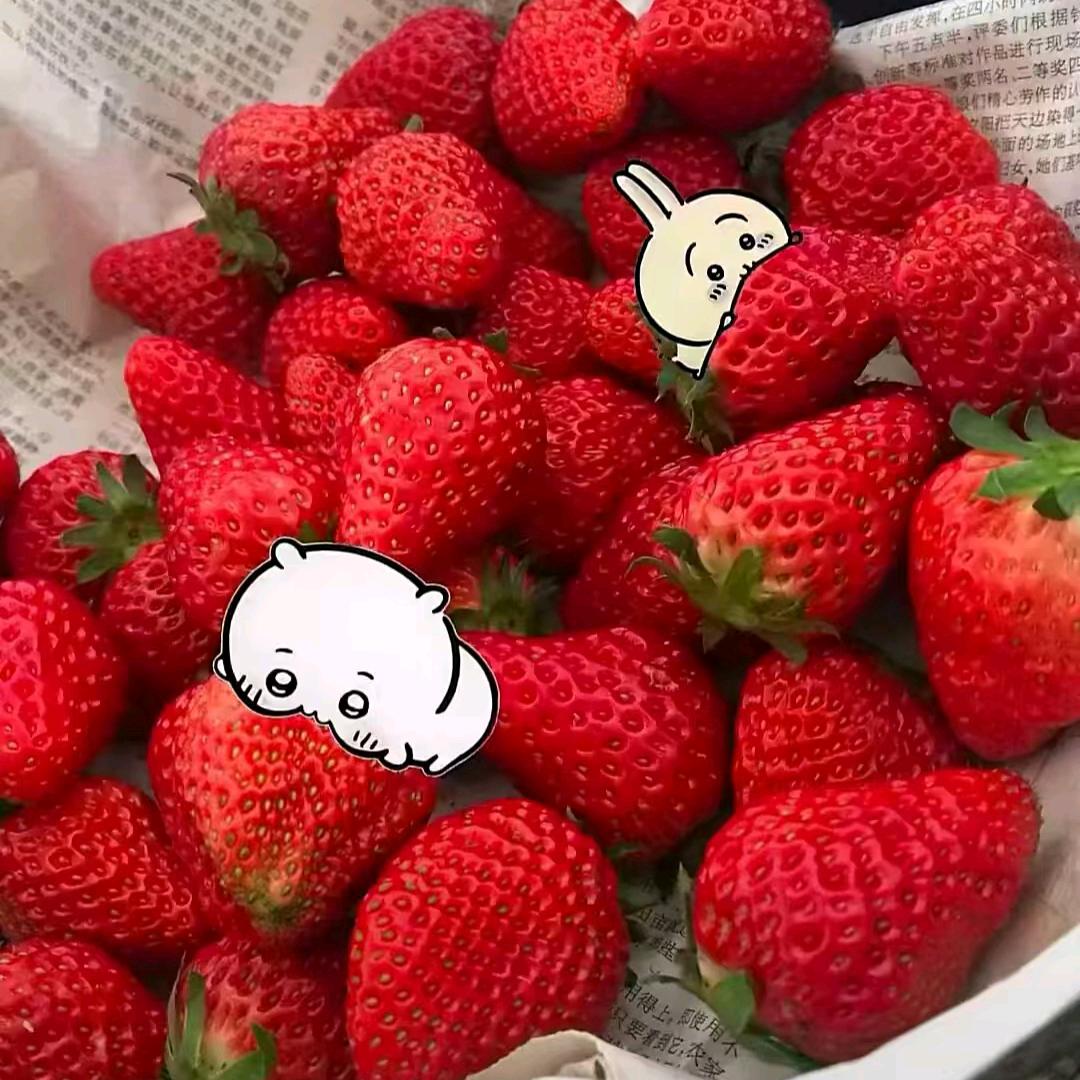 小~猪猪