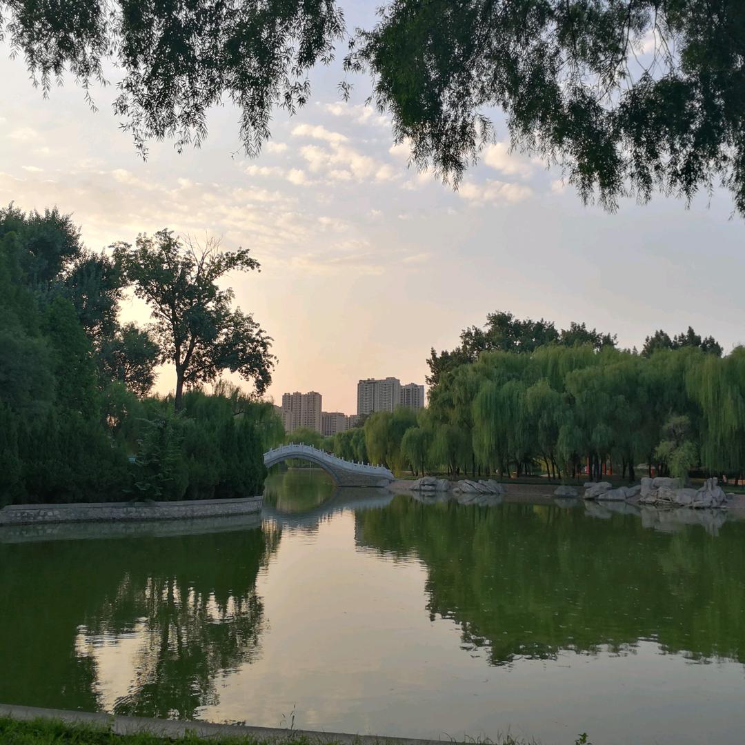 红山—刚子