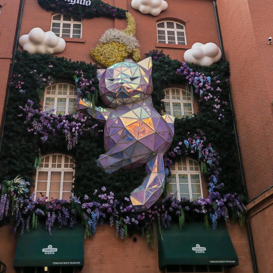 小白兔🐰爱吃胡萝卜🥕