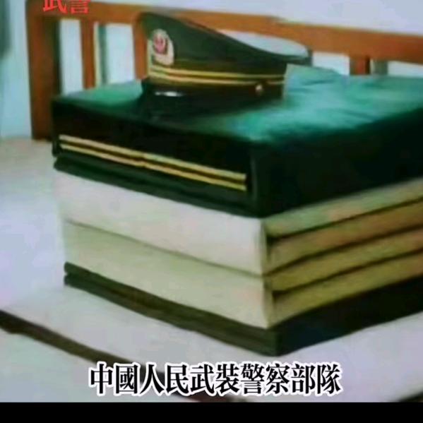 凯旋归来_251345527