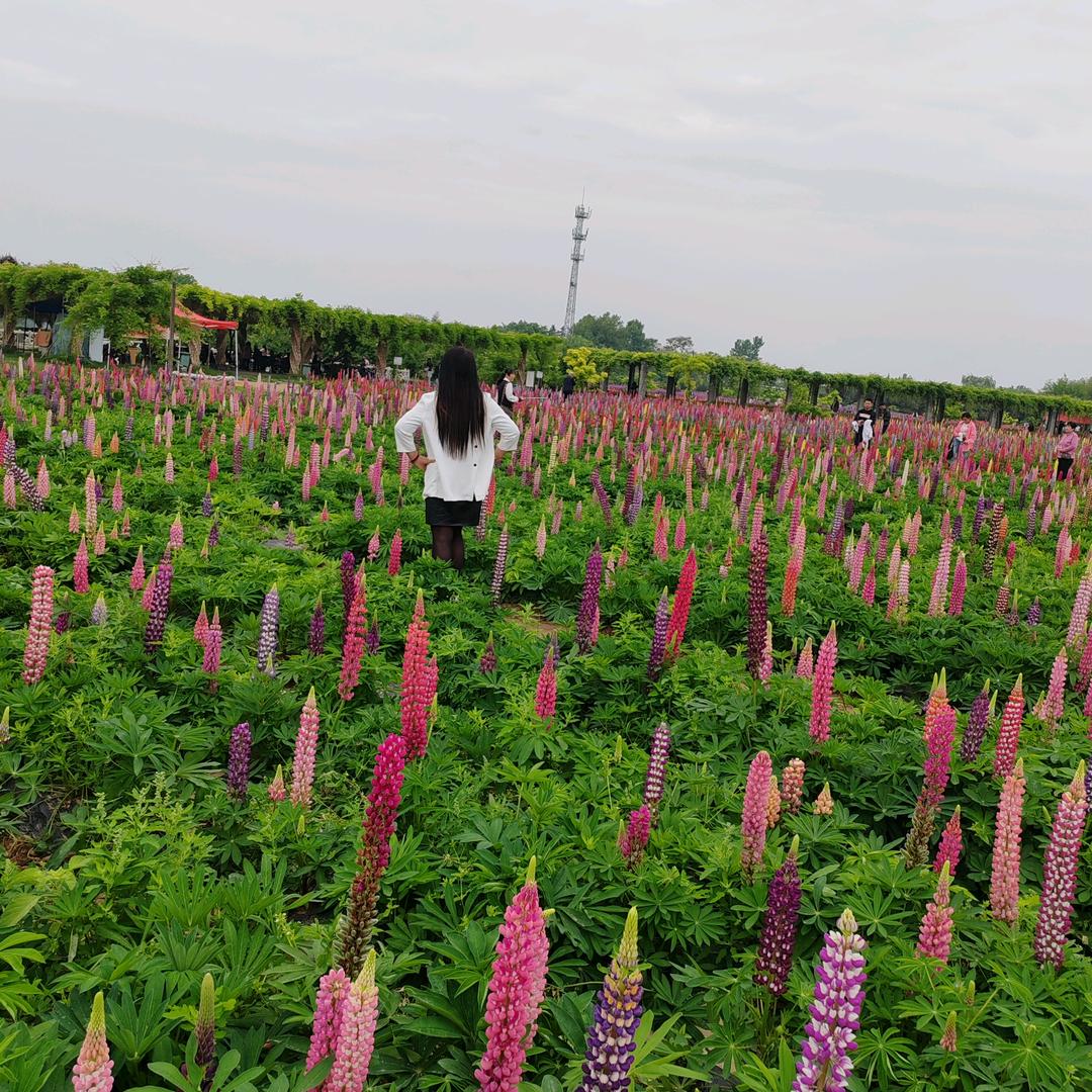 笑对人生钱多多