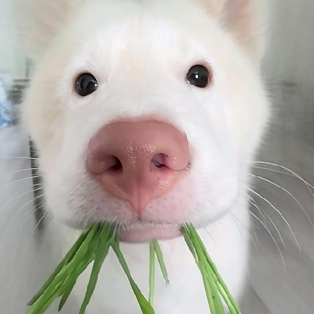 九龙坡热心群众