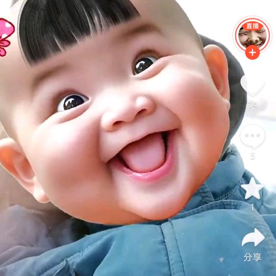 头狼