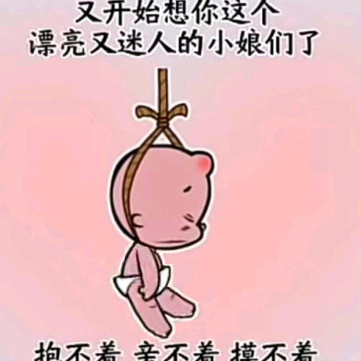 ❤️佛爷💚💙💜🖤💛