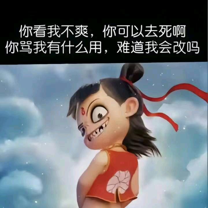 折花载酒少年事