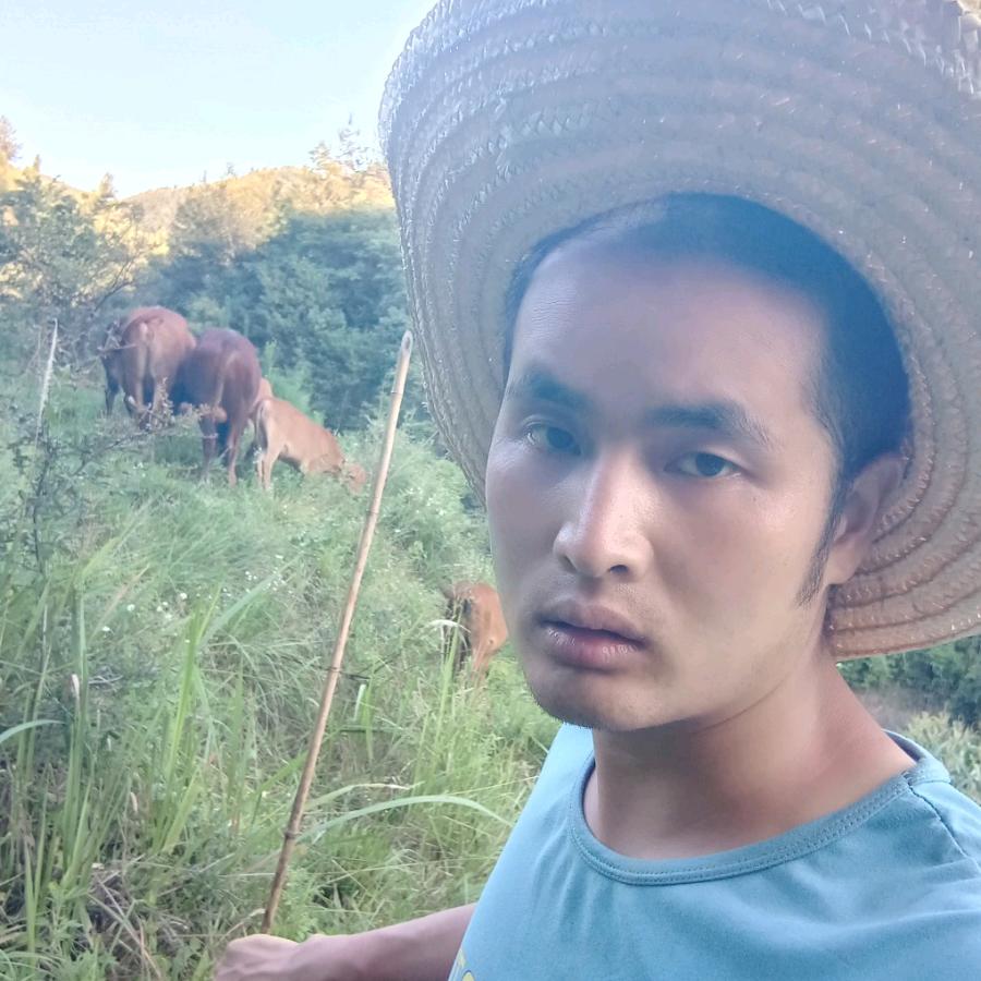 大山哥