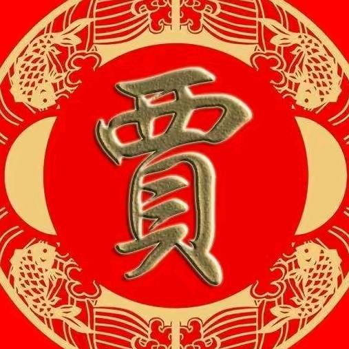 斌哥养鸽子