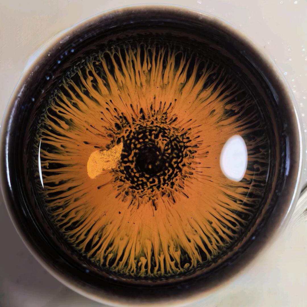 茯苓