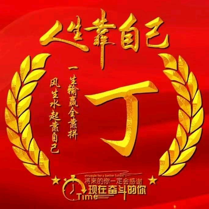遂平丁哥