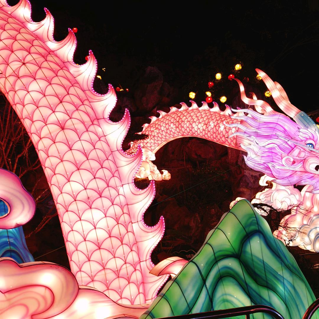 春风万里～喜满怀