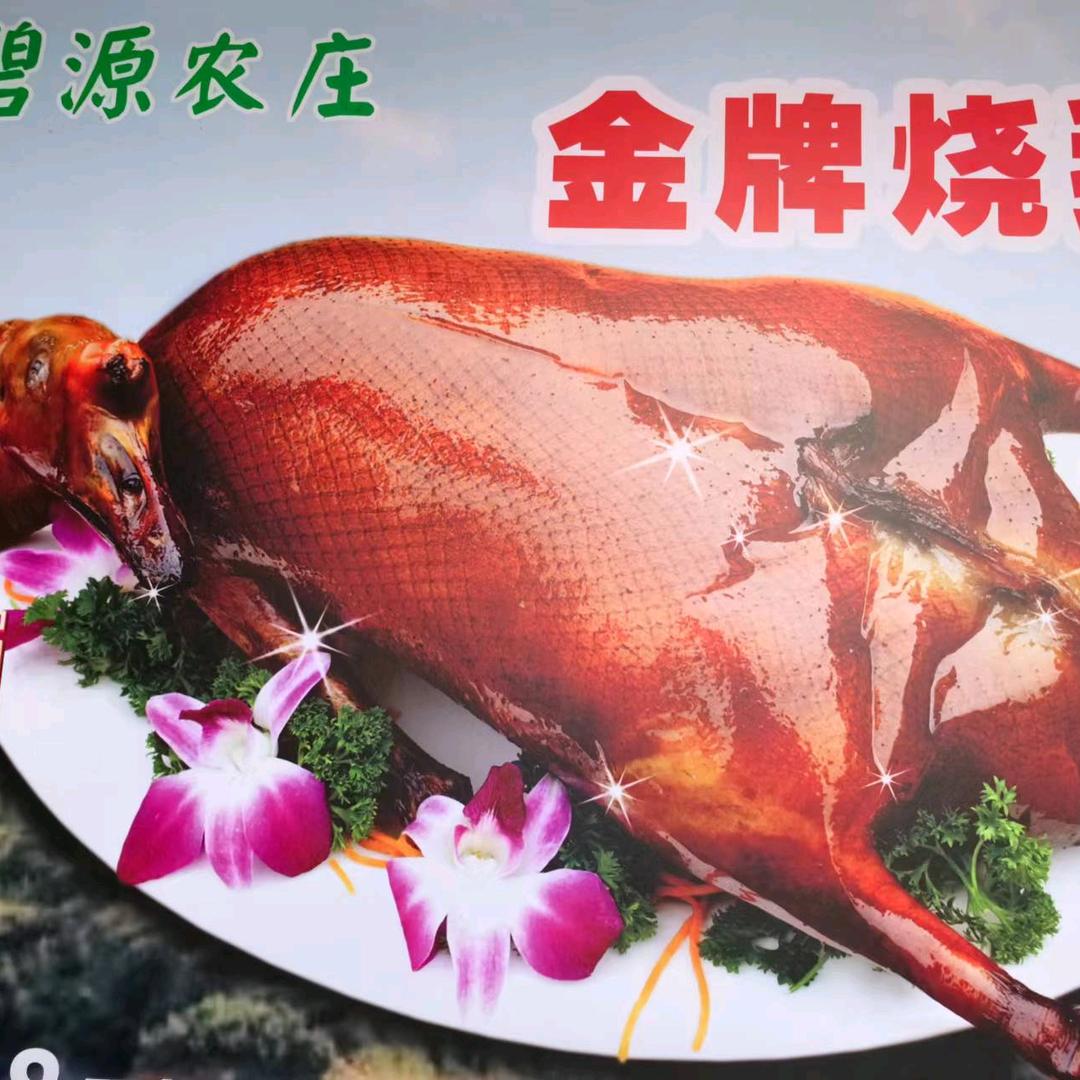 碧源农庄（总店）