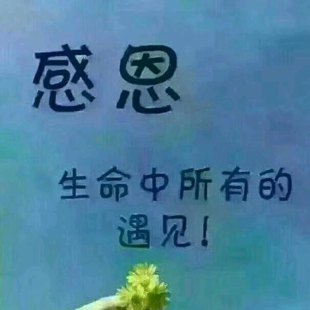 汁己.食养屋