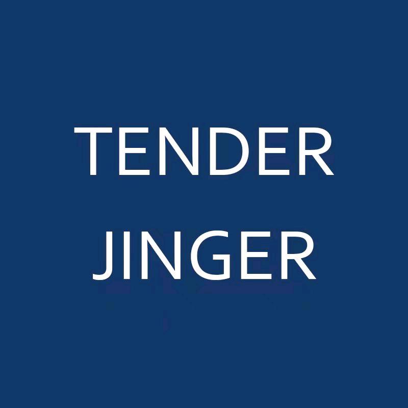 Tender Jinger 星选穿搭