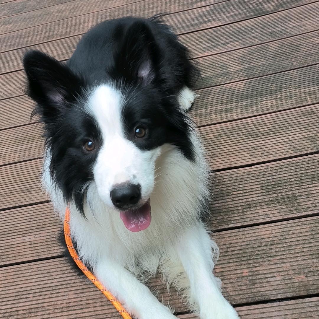 茄子两块五一斤