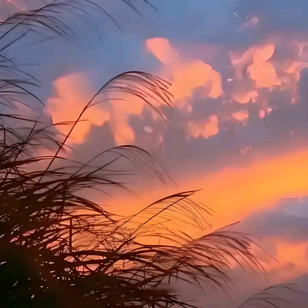多余的打扰