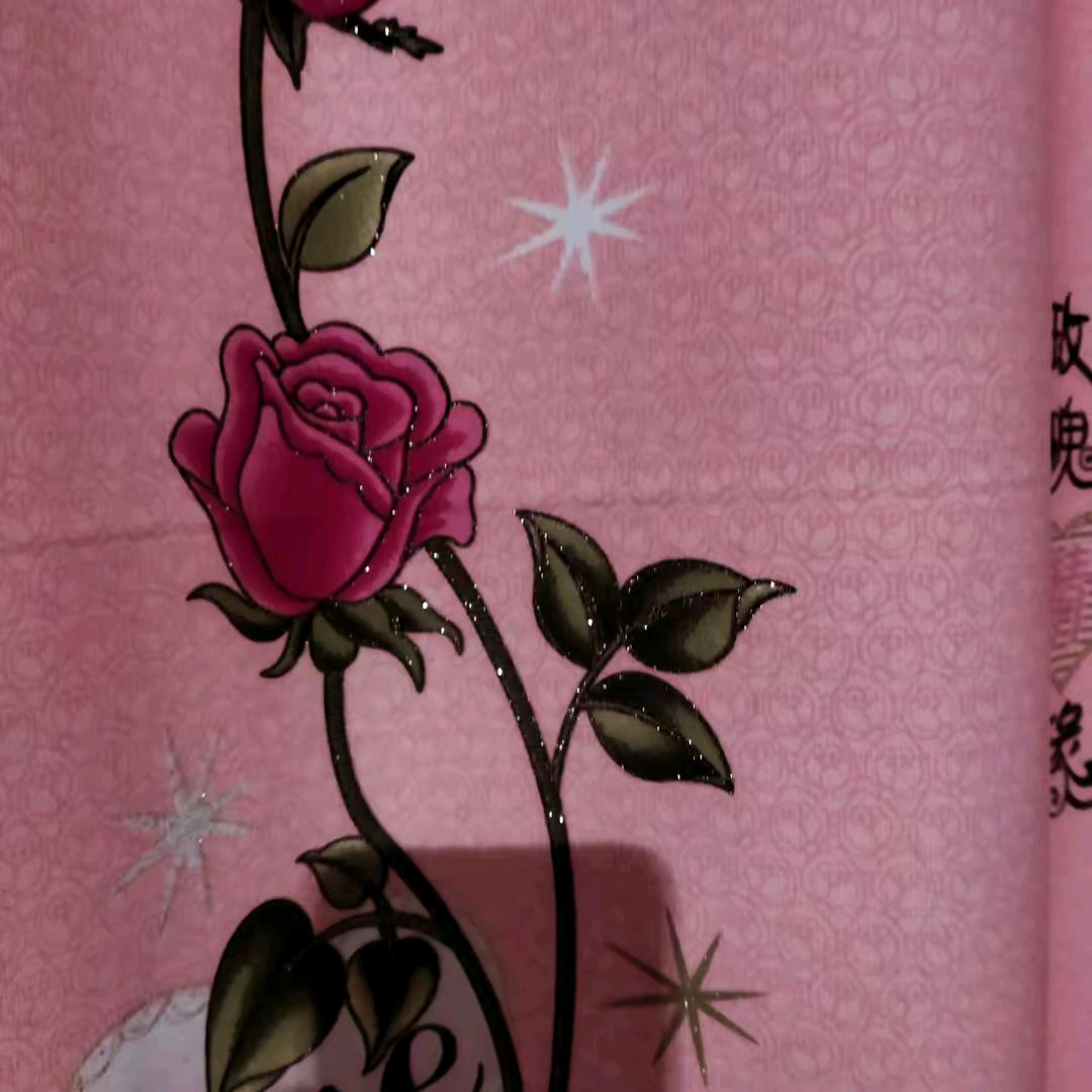 王长丽
