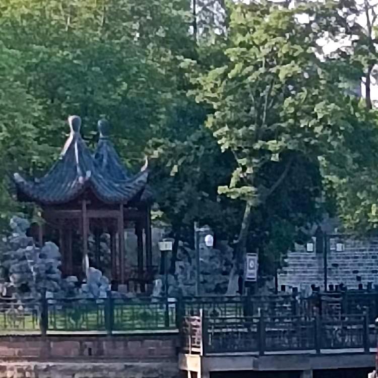 ^*盛总阳光雨露