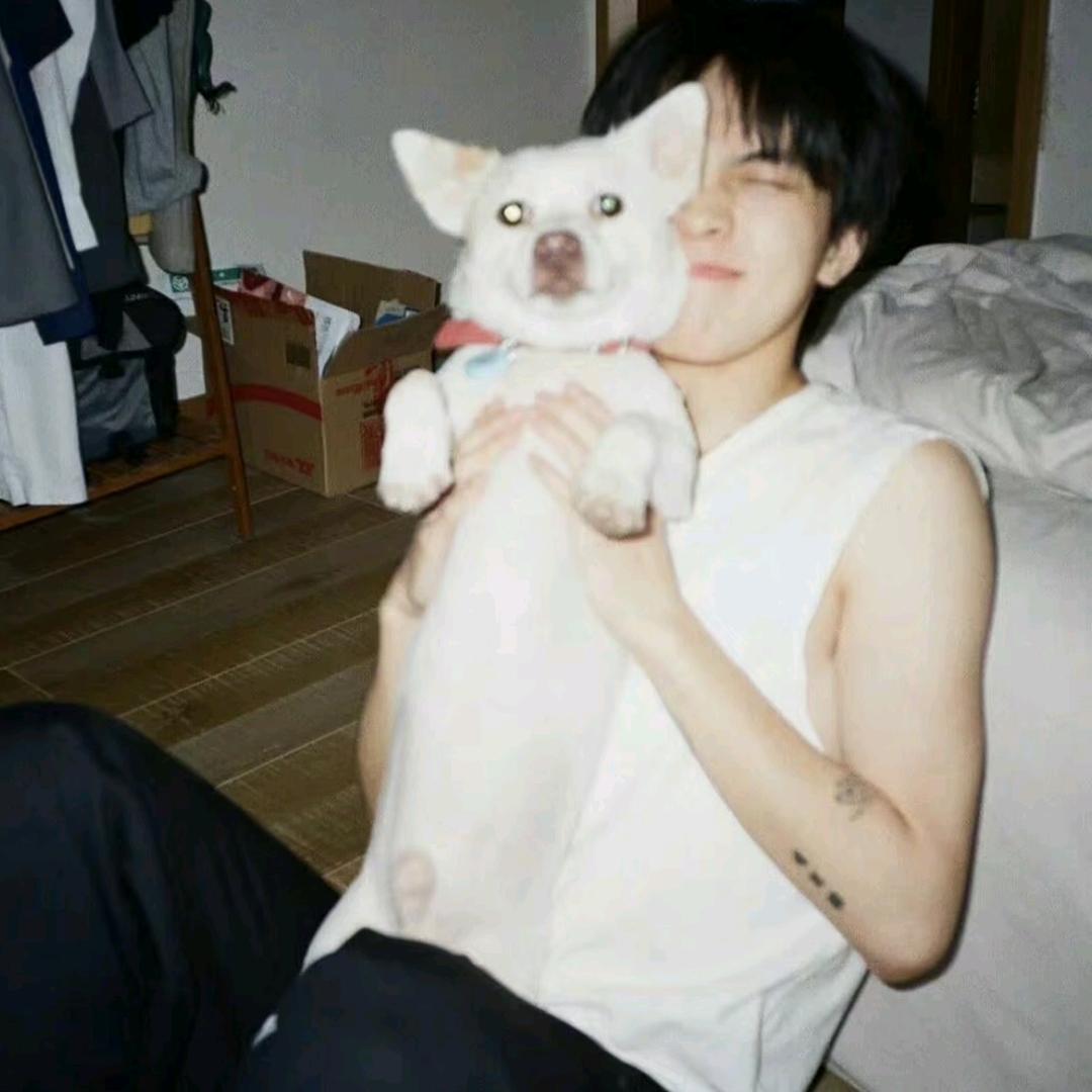 PGUIJUN