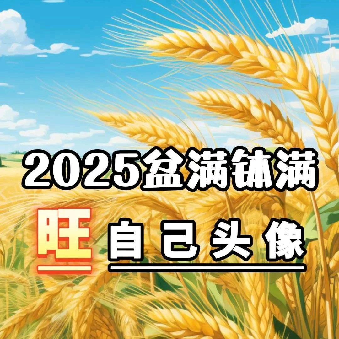 哓哓