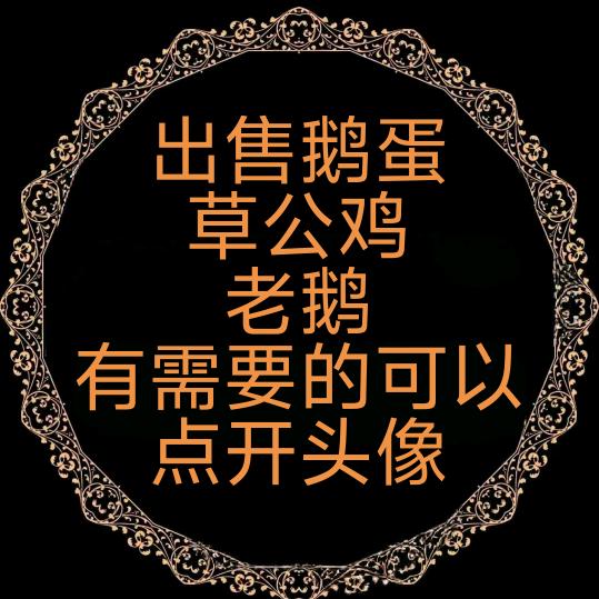咱老百姓的土货