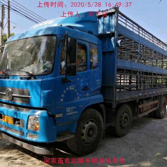 邓子良