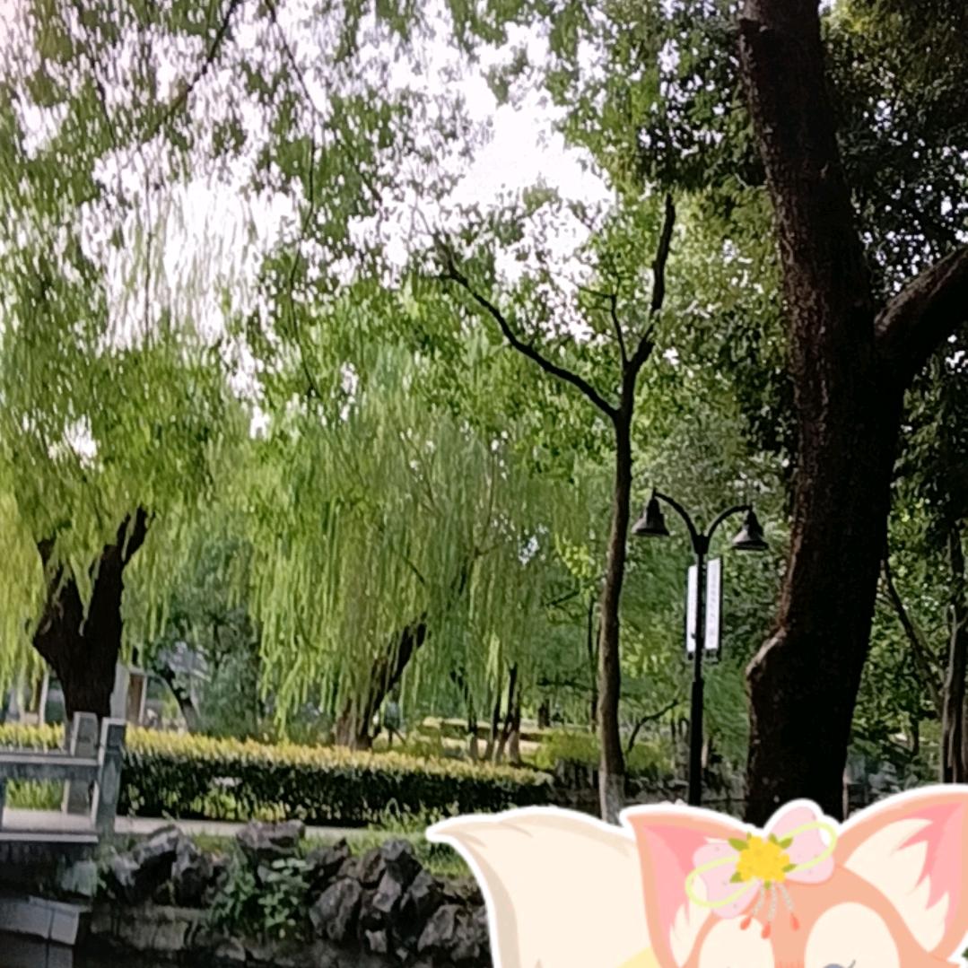 云妮🌻⃟学会ᨏᤨ释怀🌸（拒聊）