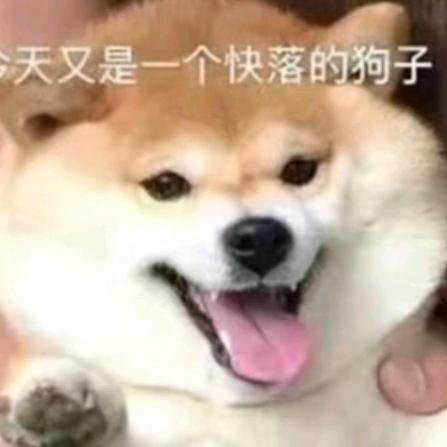 嘿嘿