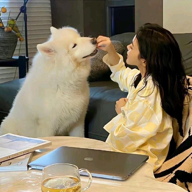 还听珊瑚海吗