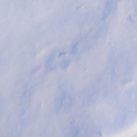 小学生硬笔书法