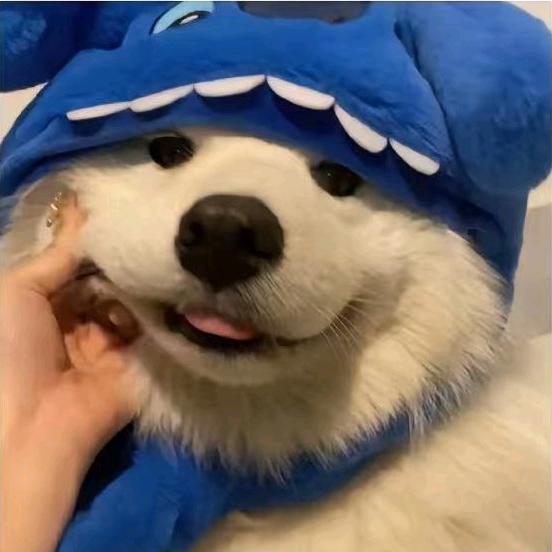 该吃吃.