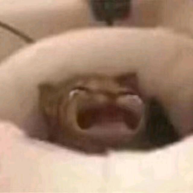 哇呜）