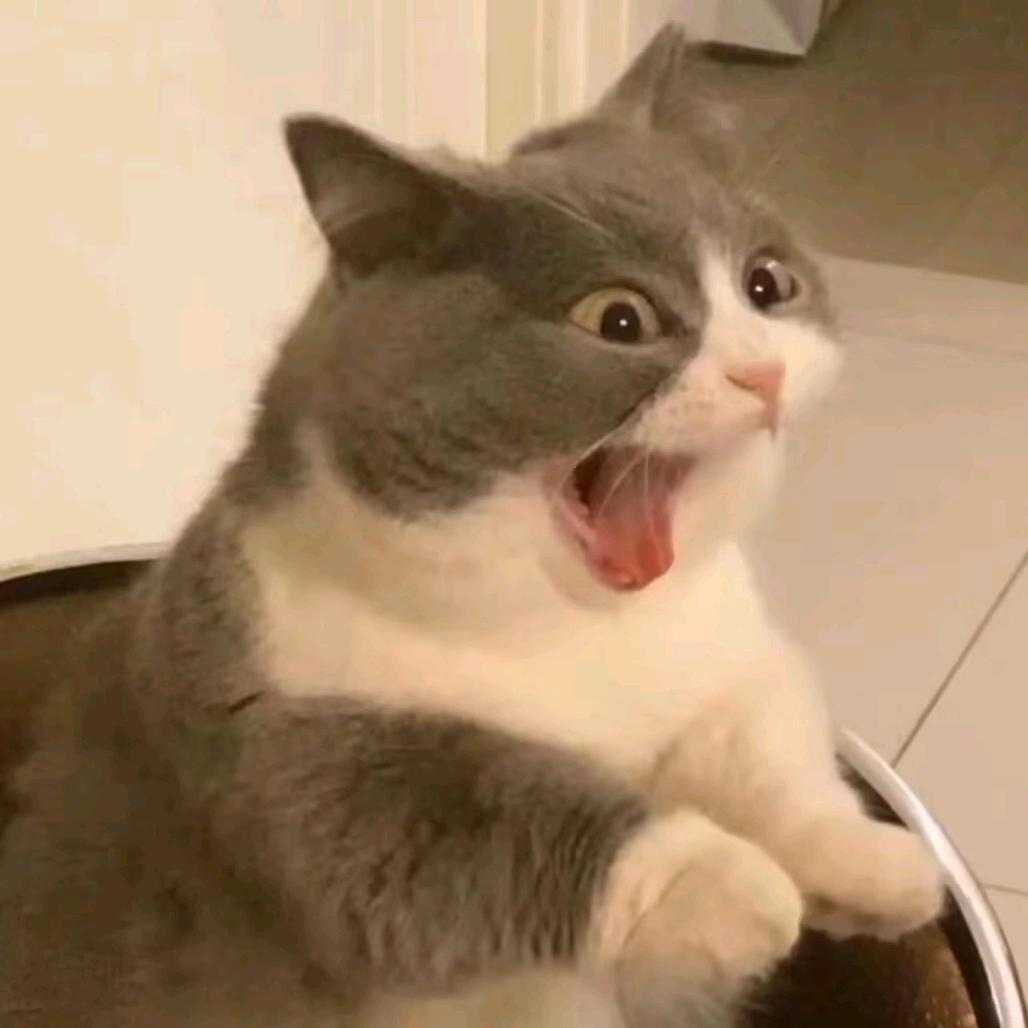 山有雾